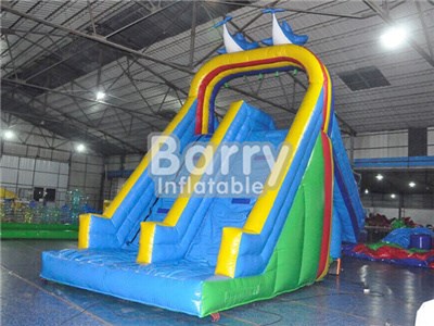 Guangzhou Factory Amusement Swimming Pool Water Slides For Sales BY-WS-098